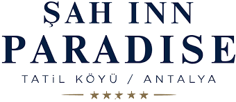 Şah Inn